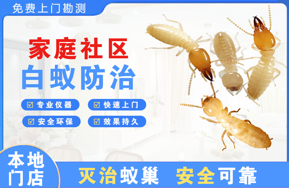 淮北家庭社区白蚁防治
