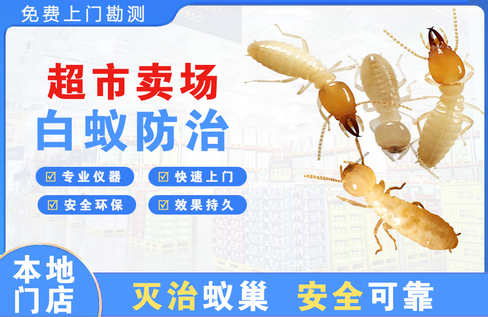淮北超市卖场白蚁防治