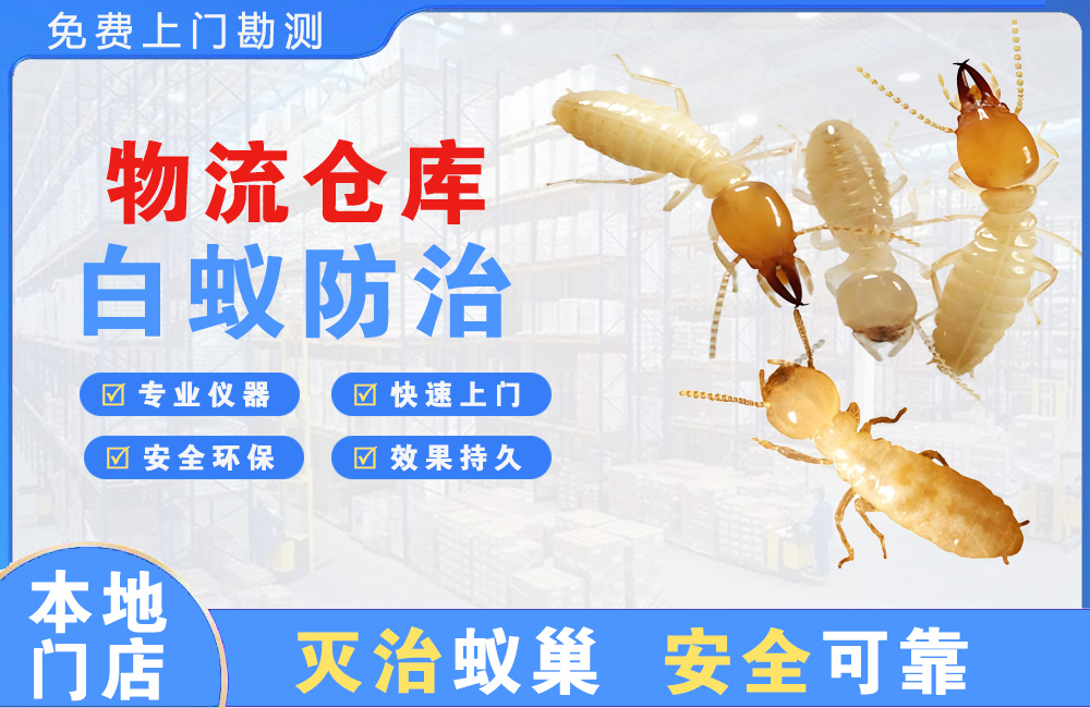 淮北物流仓库白蚁防治