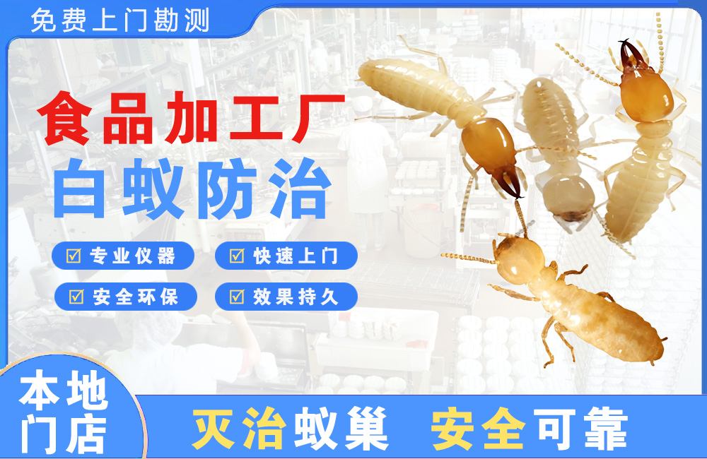 淮北食品加工厂白蚁防治