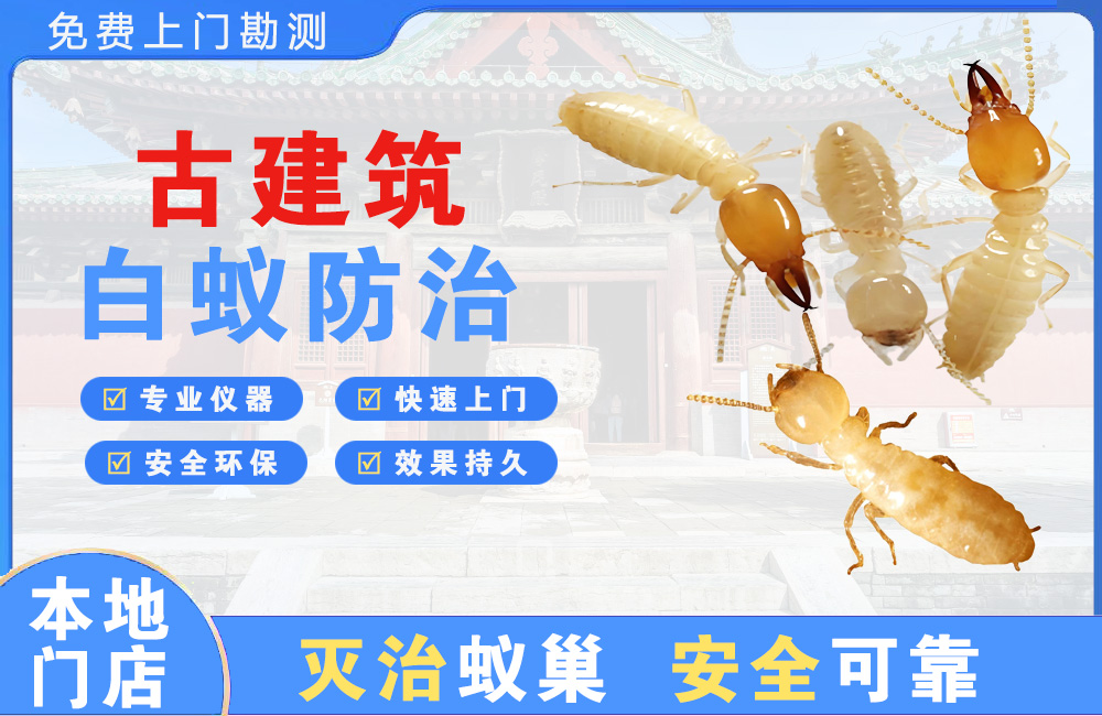 淮北古建筑白蚁防治