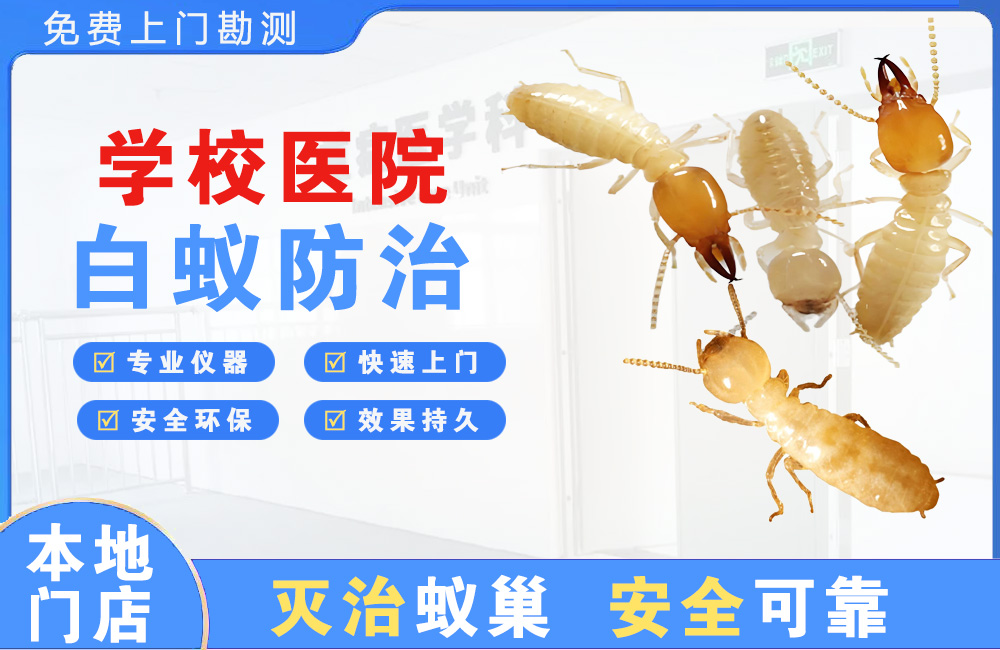 淮北学校医院白蚁防治