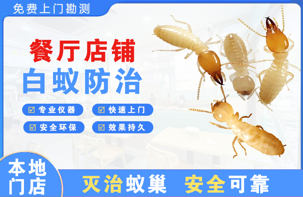 淮北餐厅店铺白蚁防治
